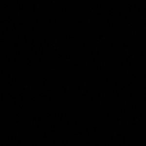 Meet your Posher, Ericka